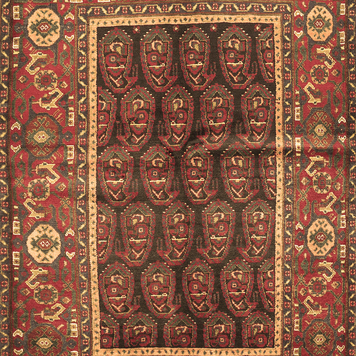 Machine Washable Persian Brown Traditional Rug, wshtr595brn