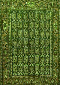 Persian Green Traditional Rug, tr596grn