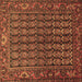 Square Machine Washable Persian Brown Traditional Rug, wshtr596brn