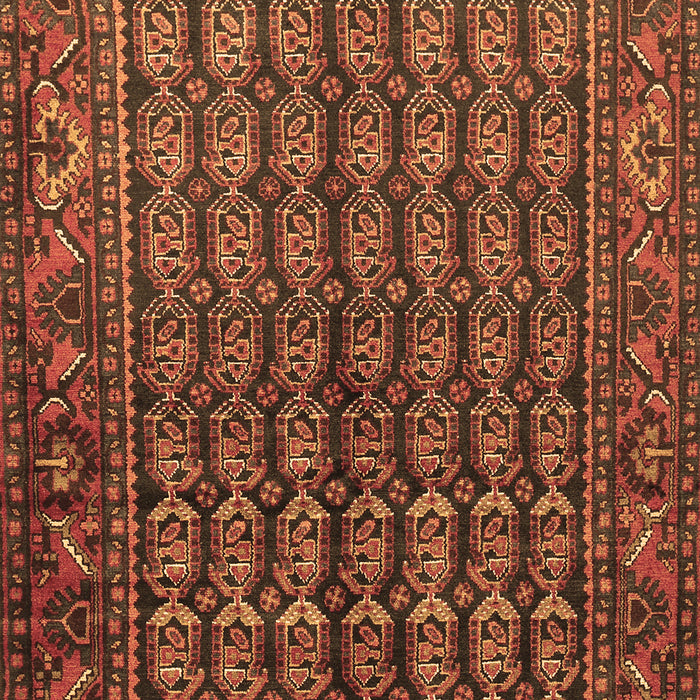 Machine Washable Persian Brown Traditional Rug, wshtr596brn