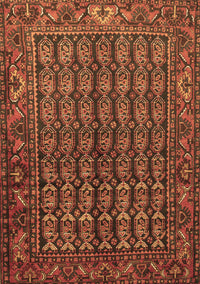 Persian Brown Traditional Rug, tr596brn