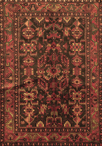 Persian Brown Traditional Rug, tr598brn