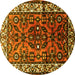 Round Persian Yellow Traditional Rug, tr599yw
