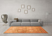 Machine Washable Persian Orange Traditional Area Rugs in a Living Room, wshtr59org