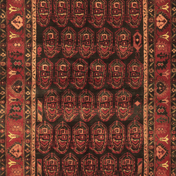 Persian Brown Traditional Rug, tr602brn