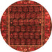 Square Persian Orange Traditional Rug, tr602org