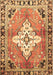 Medallion Brown Traditional Rug, tr604brn