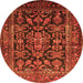 Square Persian Orange Traditional Rug, tr610org