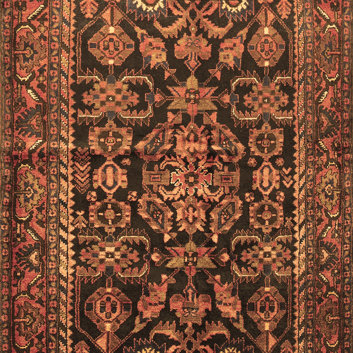 Machine Washable Persian Brown Traditional Rug, wshtr610brn