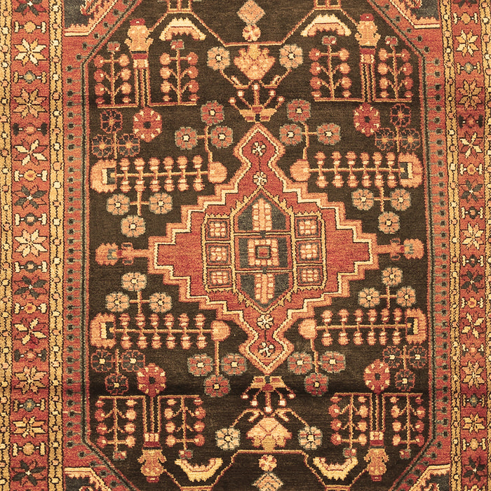 Machine Washable Persian Brown Traditional Rug, wshtr612brn