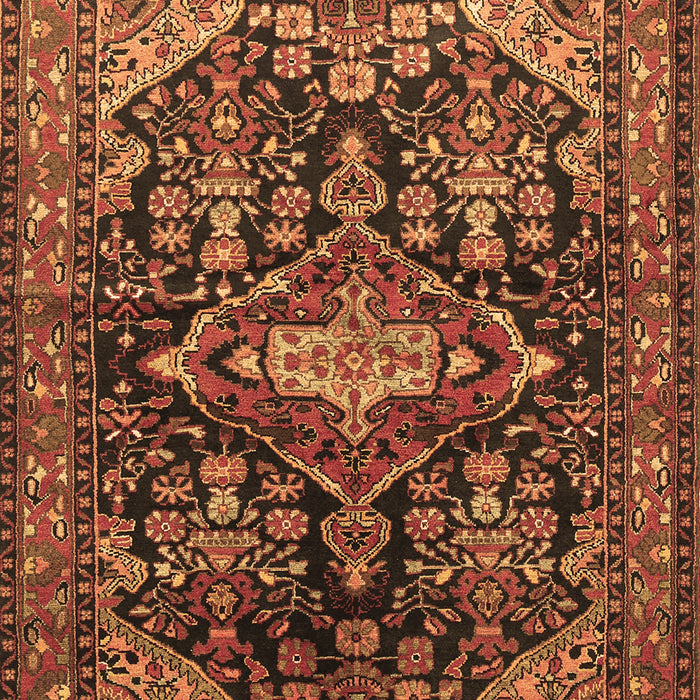 Machine Washable Persian Brown Traditional Rug, wshtr613brn