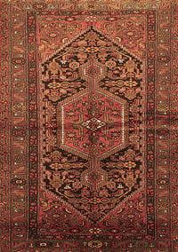 Persian Brown Traditional Rug, tr614brn