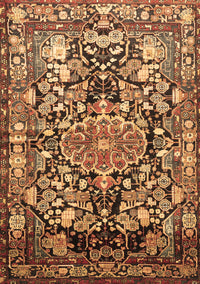 Animal Brown Traditional Rug, tr615brn