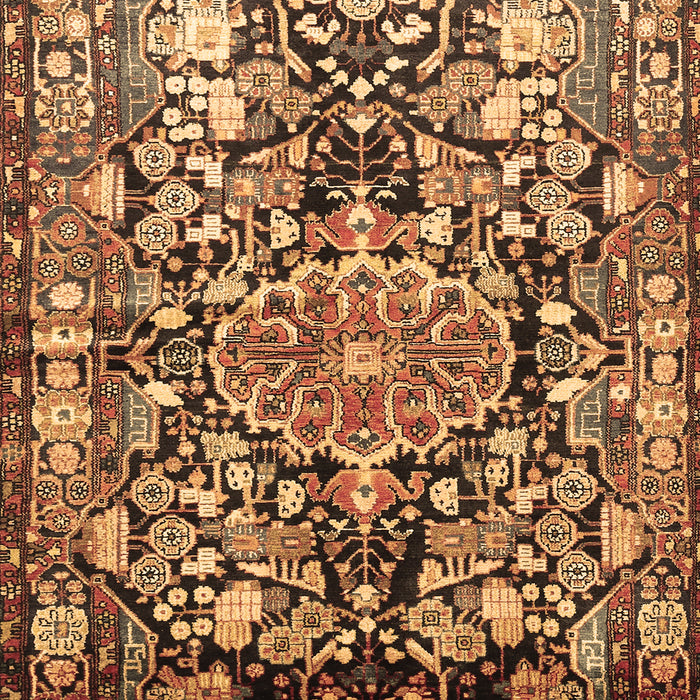 Animal Brown Traditional Rug, tr615brn