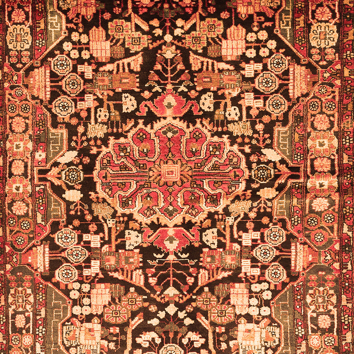 Animal Orange Traditional Rug, tr615org