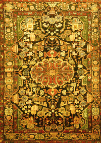 Animal Yellow Traditional Rug, tr615yw