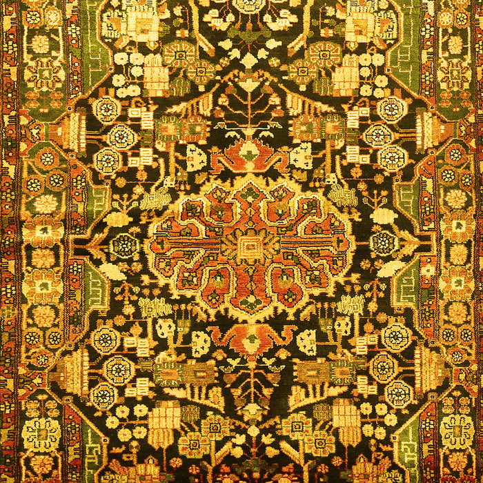 Animal Yellow Traditional Rug, tr615yw