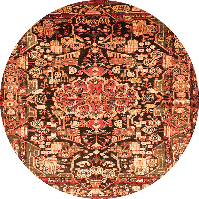 Machine Washable Animal Orange Traditional Area Rugs, wshtr615org