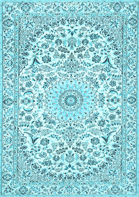 Medallion Light Blue Traditional Rug, tr618lblu