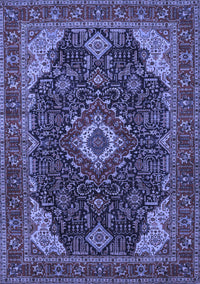 Medallion Blue Traditional Rug, tr61blu