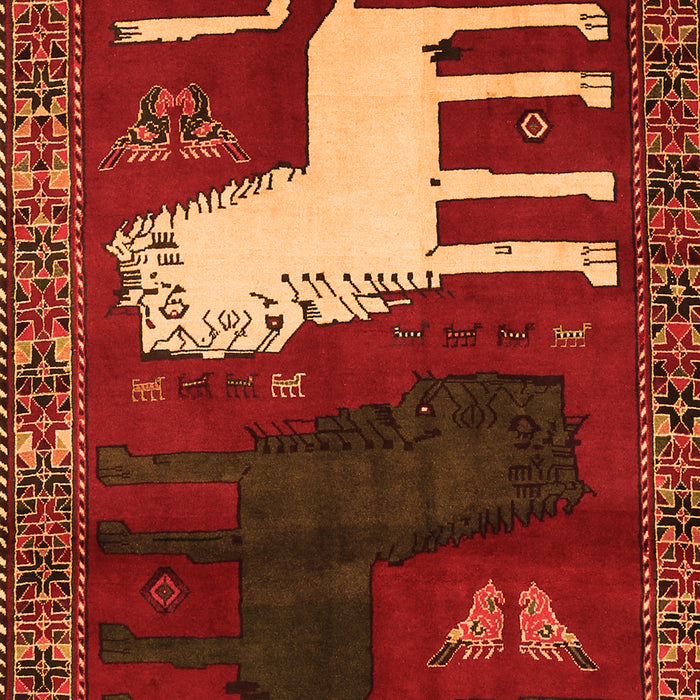 Serging Thickness of Machine Washable Animal Orange Traditional Area Rugs, wshtr621org