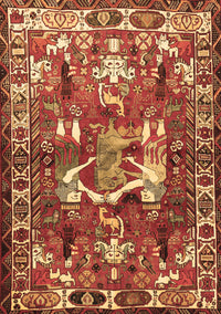 Animal Brown Traditional Rug, tr627brn