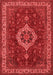 Medallion Red Traditional Area Rugs