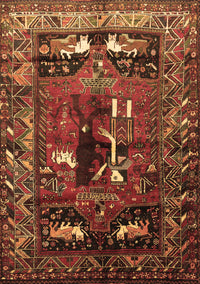 Animal Brown Traditional Rug, tr631brn