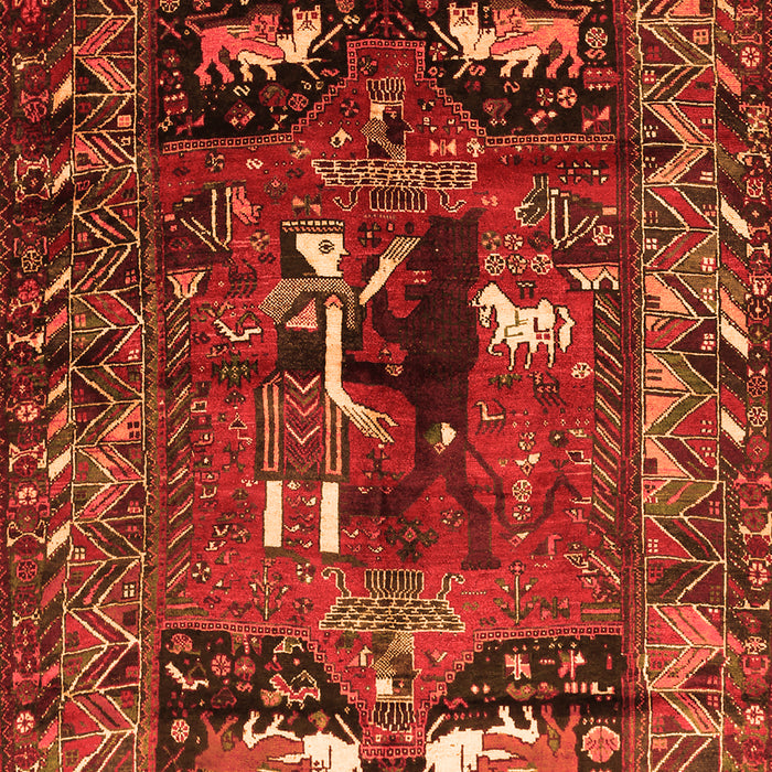Animal Orange Traditional Rug, tr631org