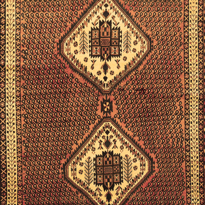 Machine Washable Persian Brown Traditional Rug, wshtr635brn