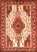 Persian Orange Traditional Rug, tr643org