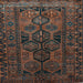 Square Persian Light Blue Traditional Rug, tr646lblu