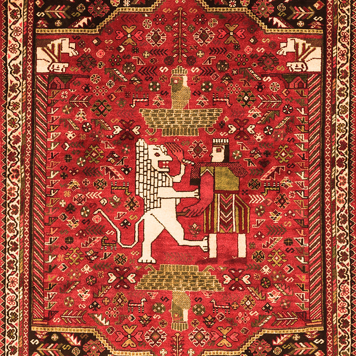 Animal Orange Traditional Rug, tr647org