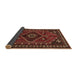 Sideview of Persian Brown Traditional Rug, tr651brn