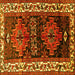 Square Persian Yellow Traditional Rug, tr653yw