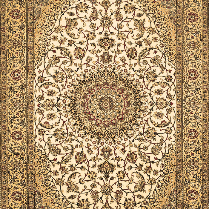 Medallion Brown Traditional Rug, tr657brn