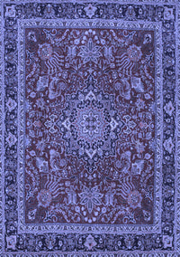 Medallion Blue Traditional Rug, tr65blu