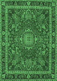 Medallion Emerald Green Traditional Rug, tr65emgrn