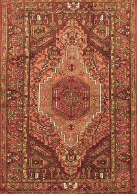 Persian Brown Traditional Rug, tr661brn