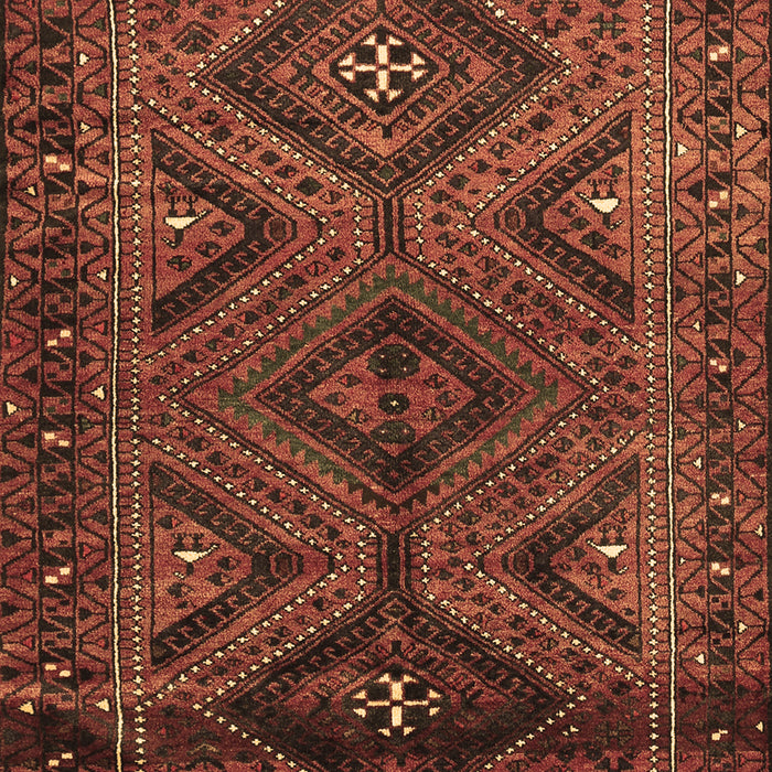 Machine Washable Persian Brown Traditional Rug, wshtr663brn