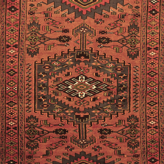 Machine Washable Persian Brown Traditional Rug, wshtr666brn