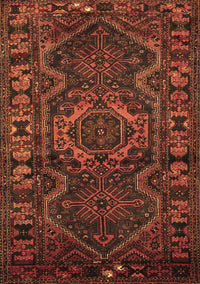Persian Brown Traditional Rug, tr668brn