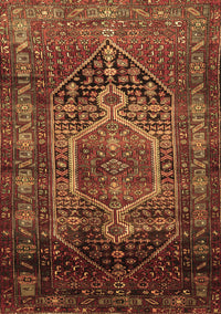 Persian Brown Traditional Rug, tr669brn