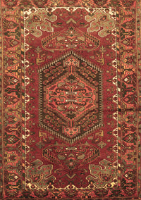 Persian Brown Traditional Rug, tr679brn