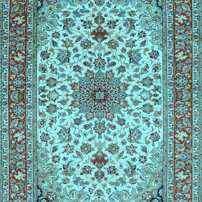 Medallion Light Blue Traditional Rug, tr67lblu