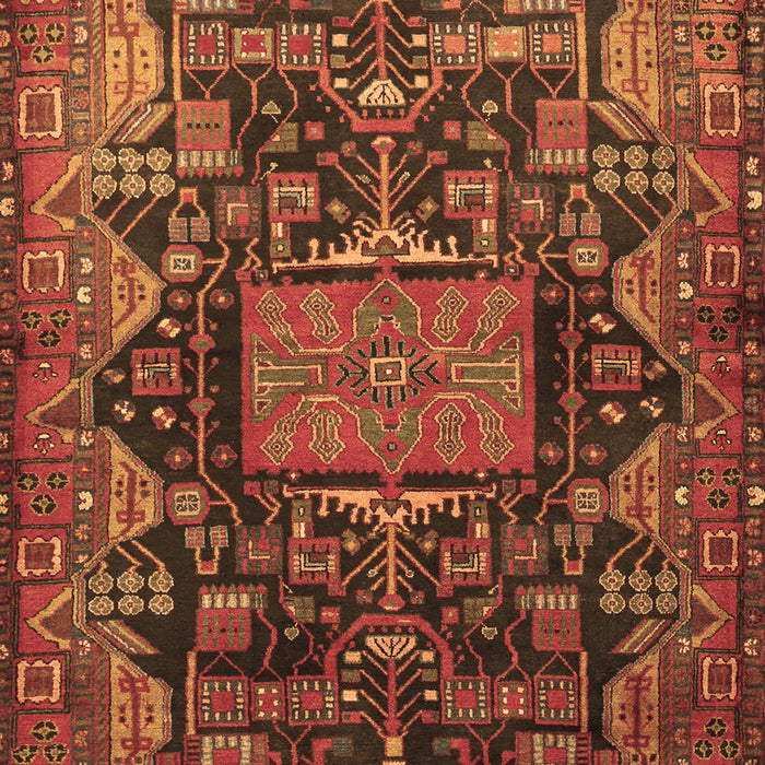 Machine Washable Animal Brown Traditional Rug, wshtr681brn