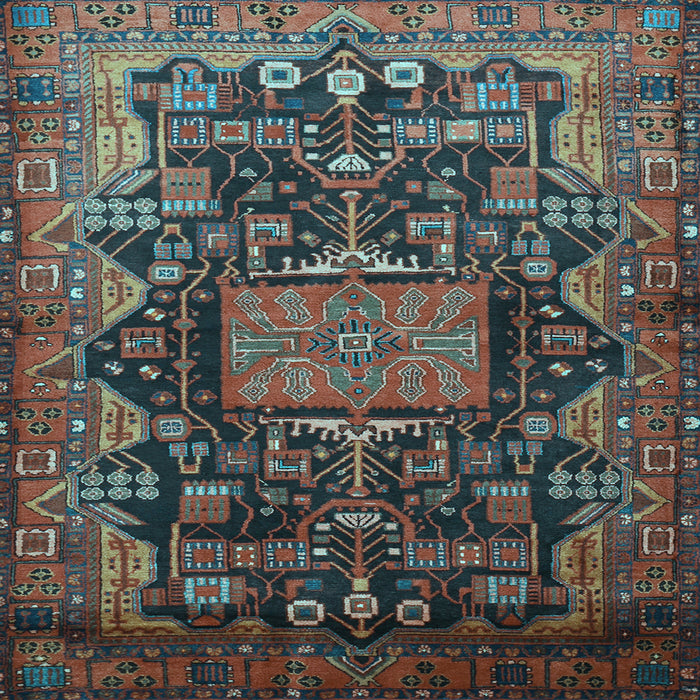 Square Machine Washable Animal Light Blue Traditional Rug, wshtr681lblu