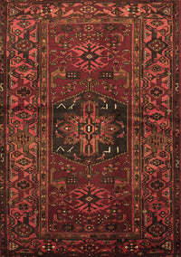 Persian Brown Traditional Rug, tr682brn