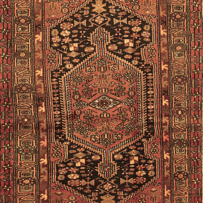 Machine Washable Persian Brown Traditional Rug, wshtr683brn