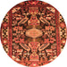 Square Animal Orange Traditional Rug, tr684org